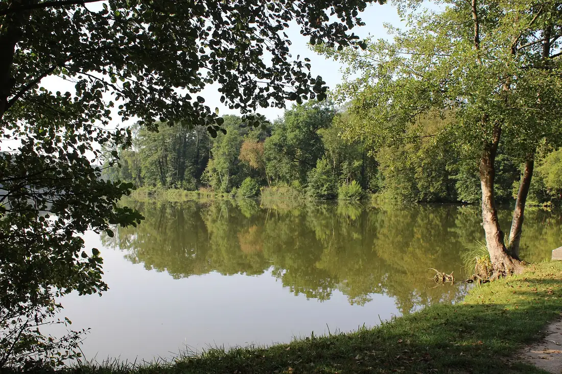 Le grand étang de Saint-Pierre, eau calme bordée d'arbres