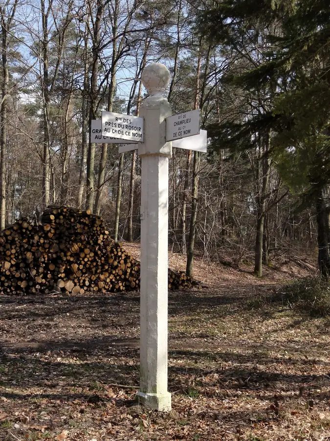 Un poteau blanc de carrefour de la forêt de Compiègne, avec ses flèches portant le nom des routes